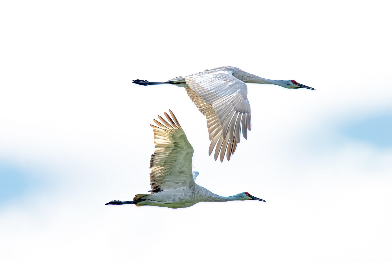 Die 5 besten Cloud-Migration-Berater in Lübeck 2026