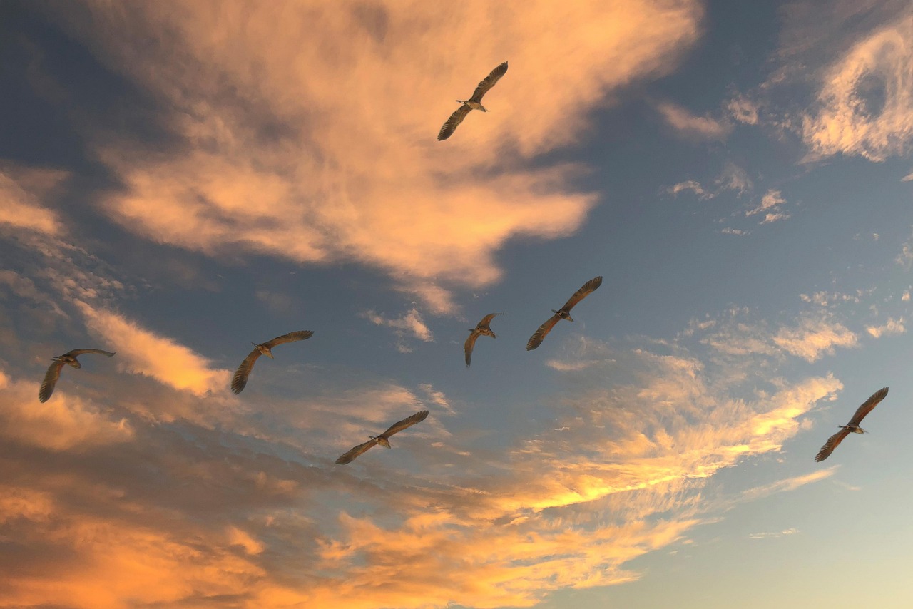 Top 6 Cloud-Migrationspartner in Bremen für den Mittelstand 2026